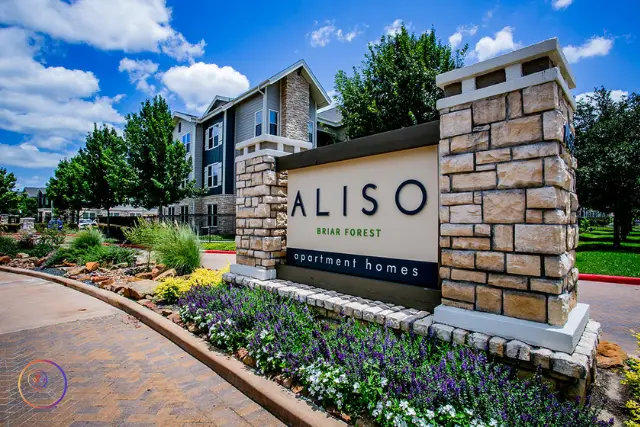 Aliso Briar Forest Reviews