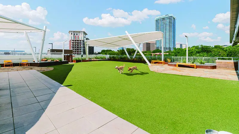 The Katy in Victory Park Apartments Dog Park