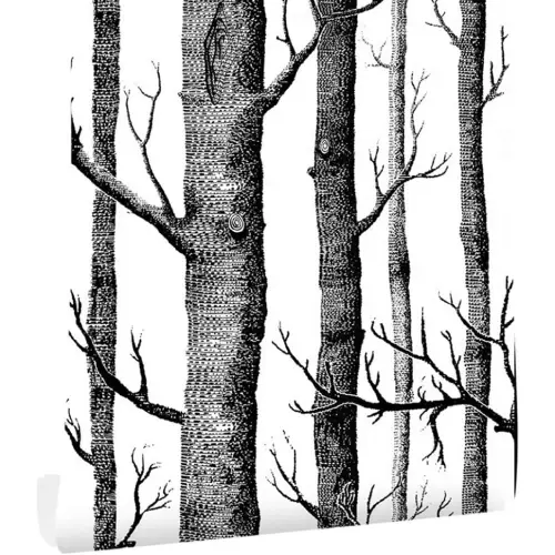 Birch Tree Wallpaper Peel and Stick Wallpaper