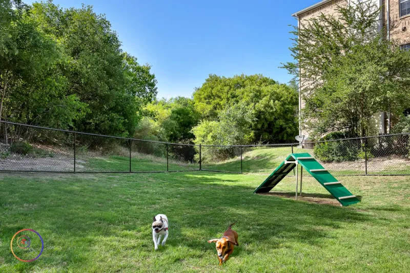 san antonio apartments with dog park