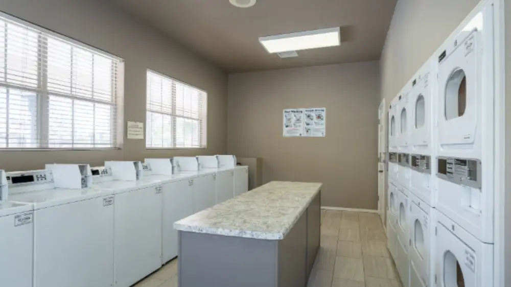 Lifestyles at Pellicano