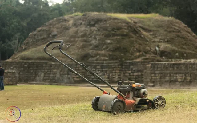 Lawn Mowers Belts