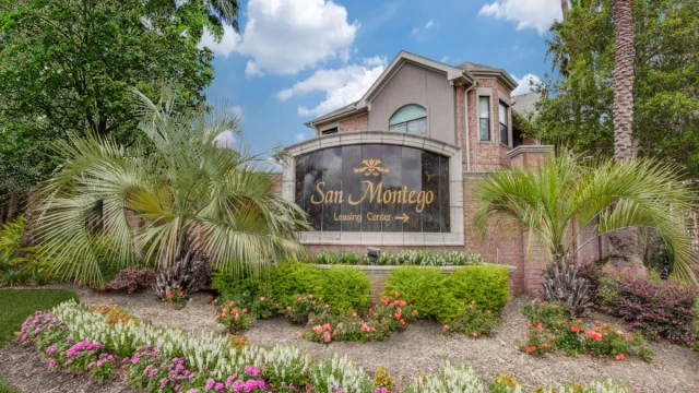 San Montego Houston Apartments Photo 12