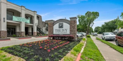 The Ivy at the Galleria Houston Apartment Photo 1