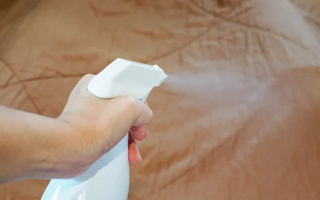 Why DIY Bed Bug Sprays Fail More Often and What Actually Works in Apartments