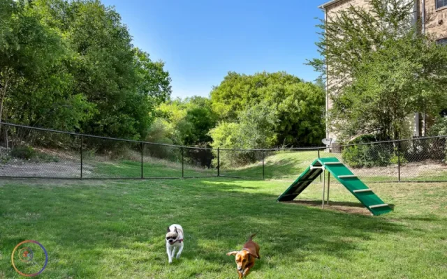 san antonio apartments with dog park